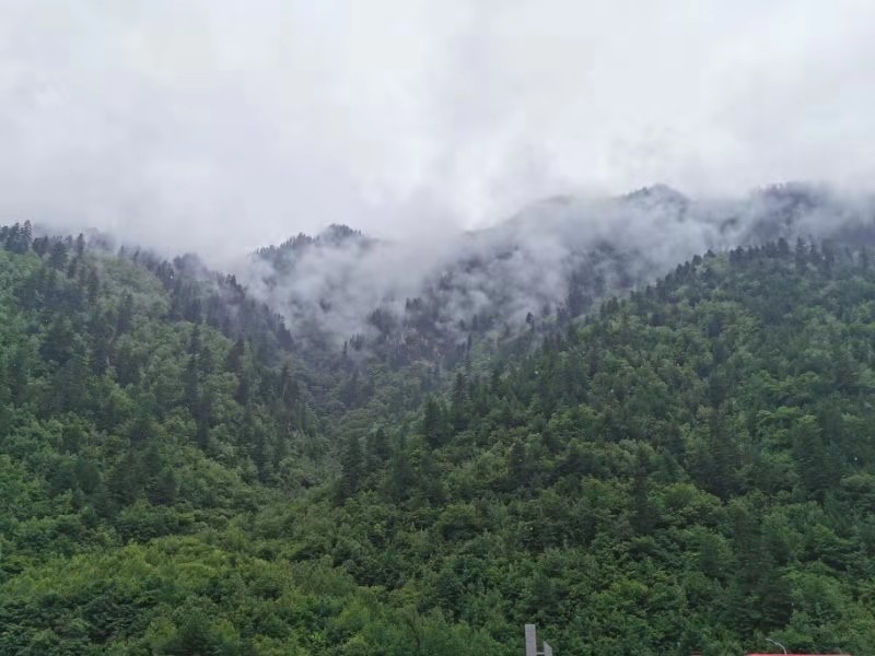 微信图片_201907231553465