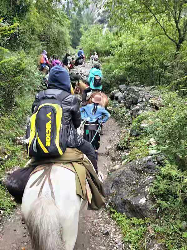 微信图片_2019071911142314