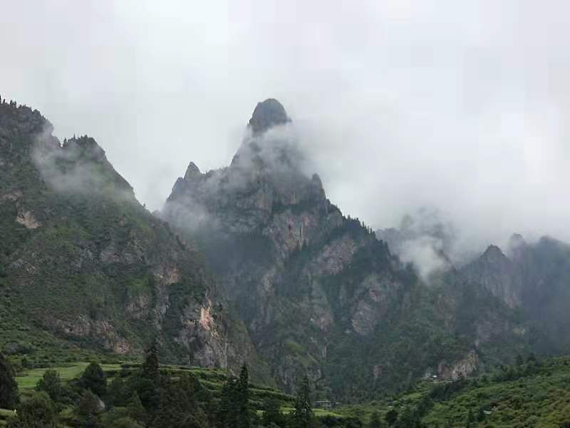 微信图片_2019071911181913