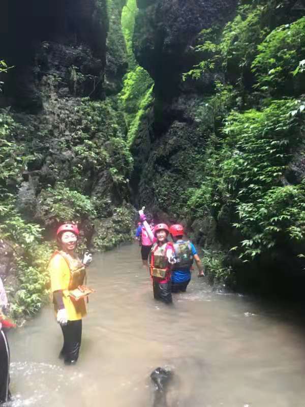 微信图片_201908051128501