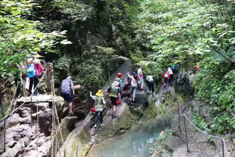 微信图片_201908051128503