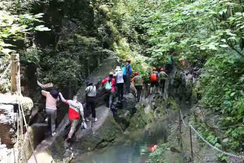 微信图片_201908051128505