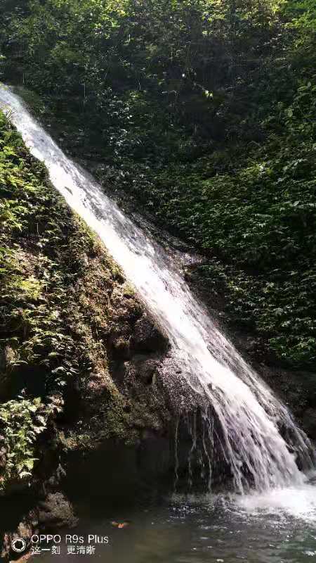 微信图片_201908051128506