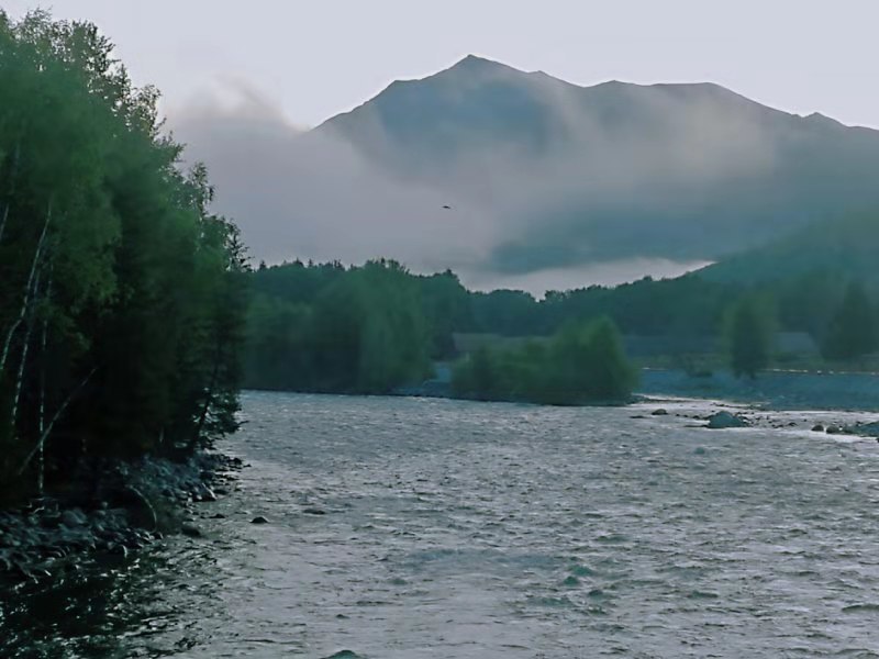 微信图片_201908071523186