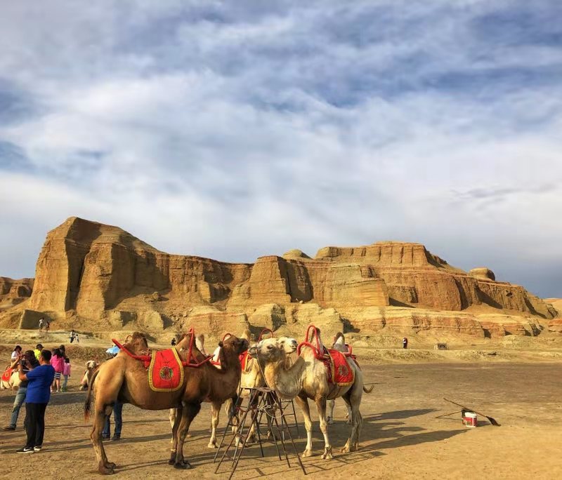 微信图片_201908071523189