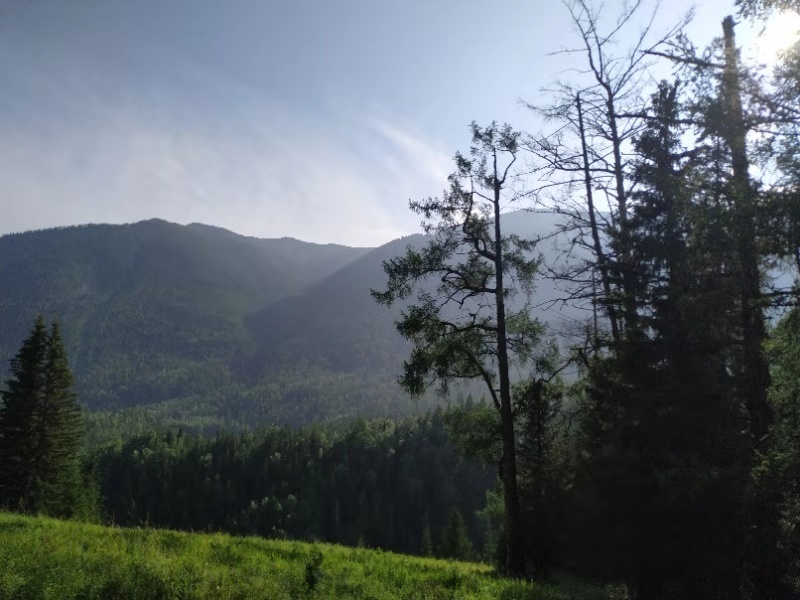 微信图片_201908071524055