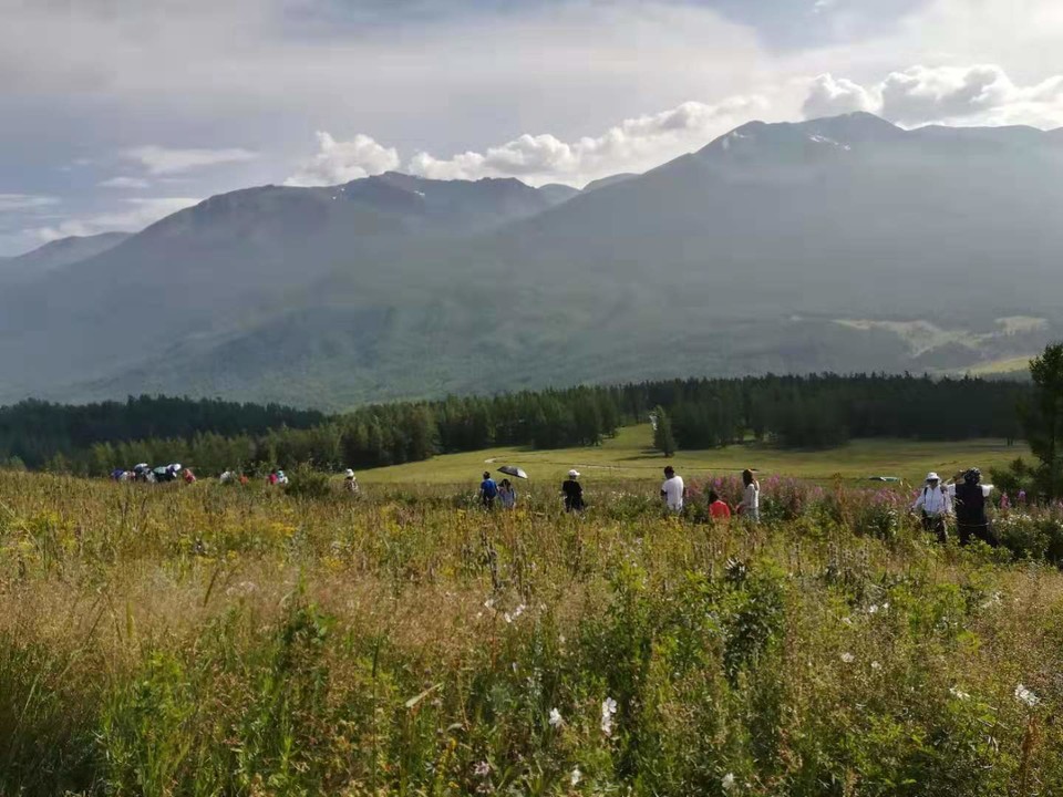 微信图片_201908071524057