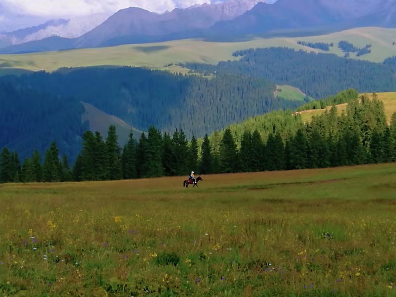 微信图片_2019080715231830