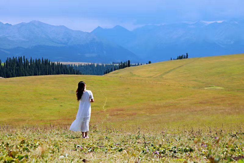 微信图片_2019080715231833