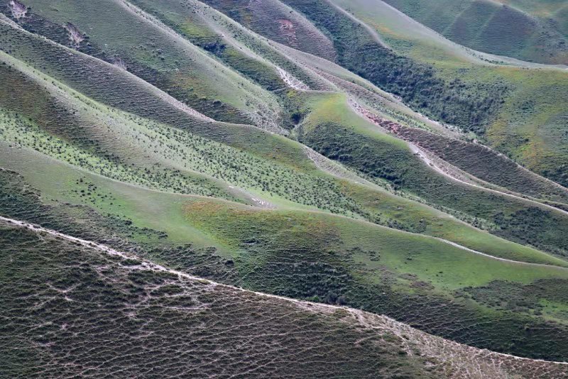 微信图片_2019080715231841