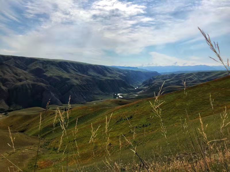 微信图片_2019080715231847