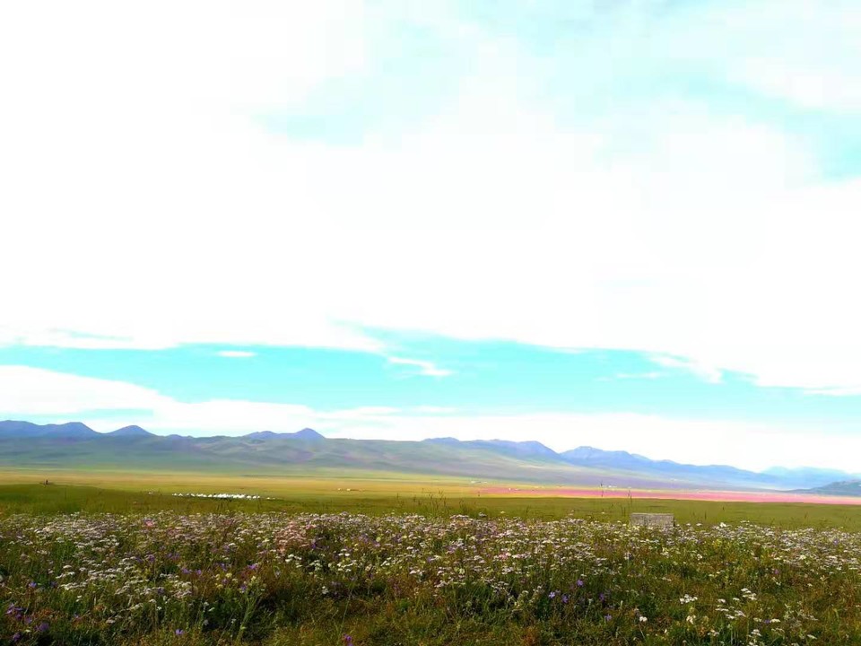 微信图片_2019080715231858