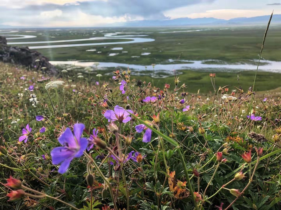 微信图片_2019080715231860