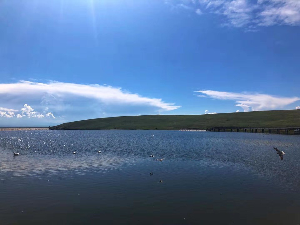 微信图片_2019080715231863