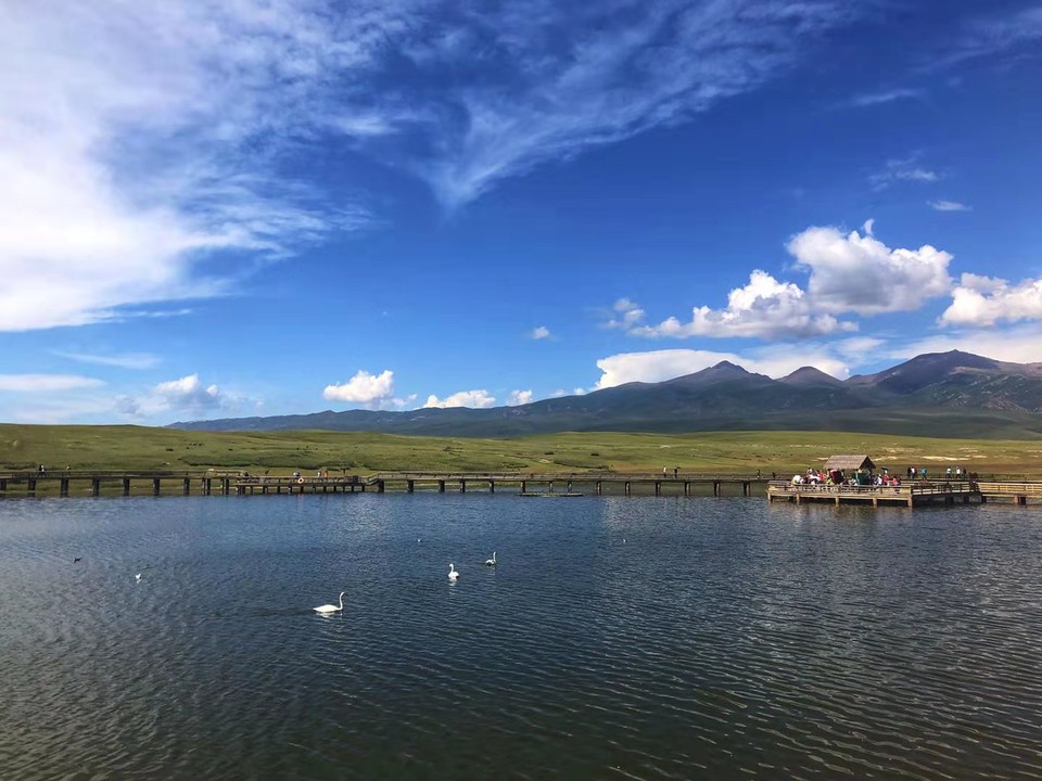 微信图片_2019080715231864