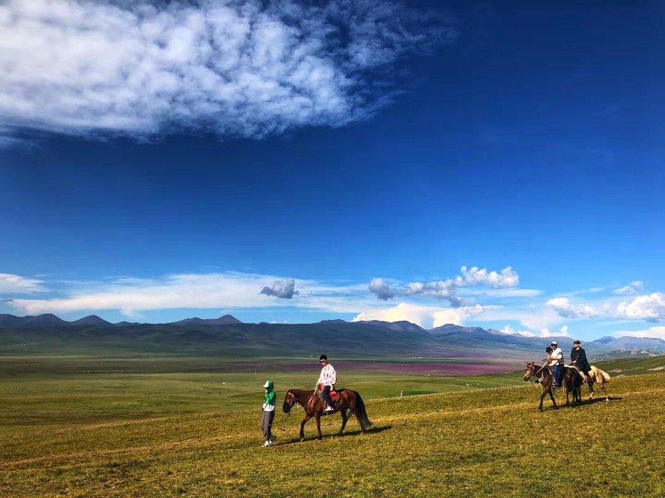 微信图片_2019080715231866