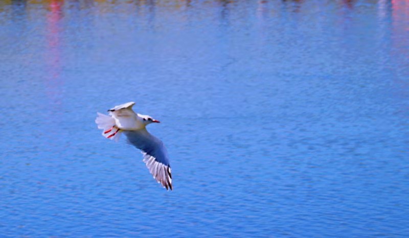 微信图片_2019080715231874