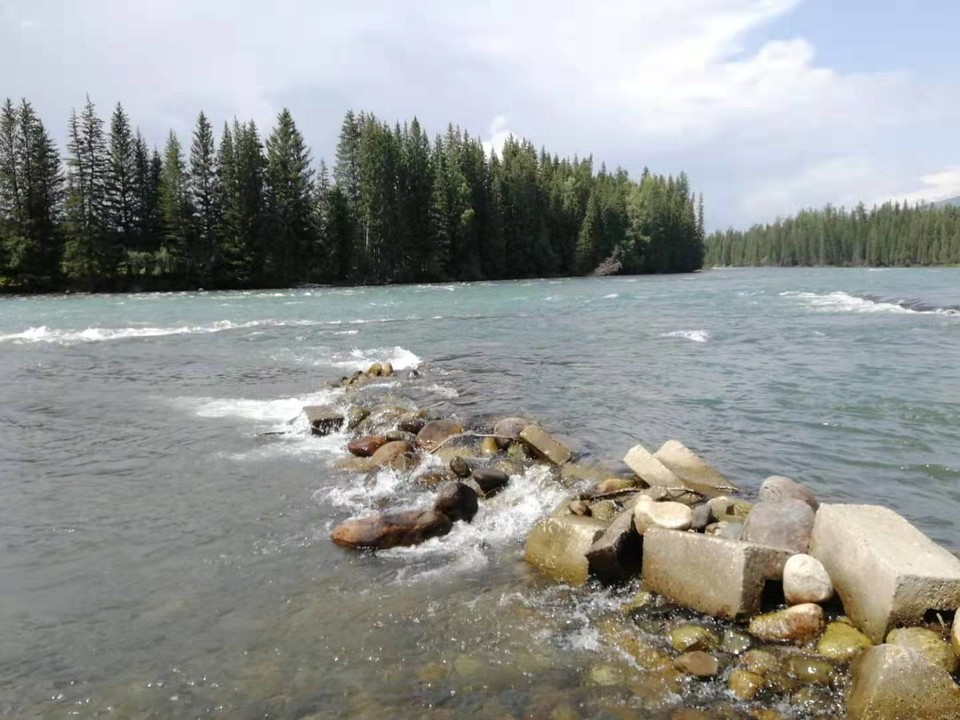 微信图片_2019080715240515