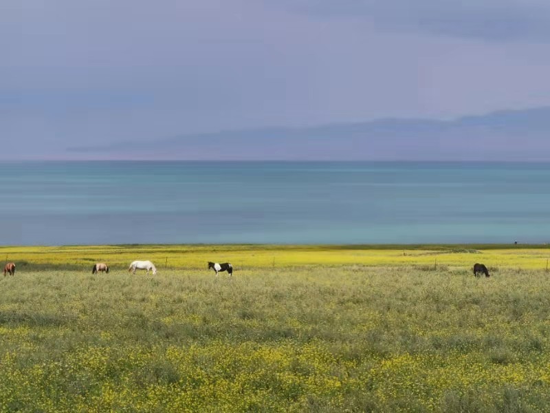 微信图片_20190812110636