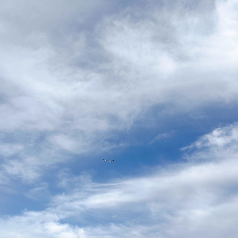 微信图片_20190812111142