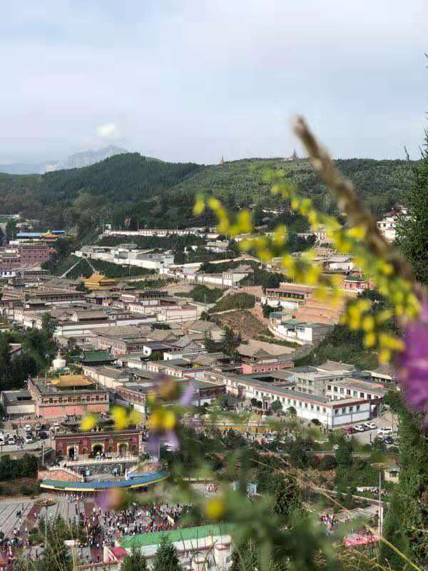 微信图片_201908121105294