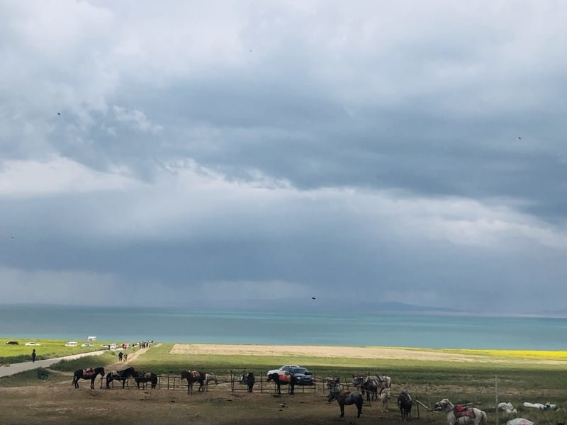 微信图片_201908121105566