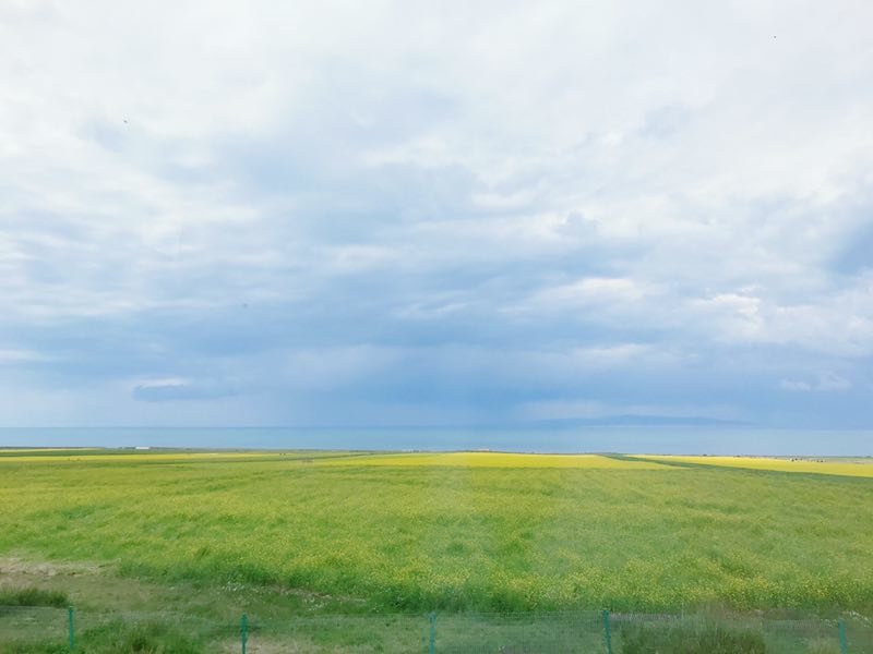 微信图片_201908121105567