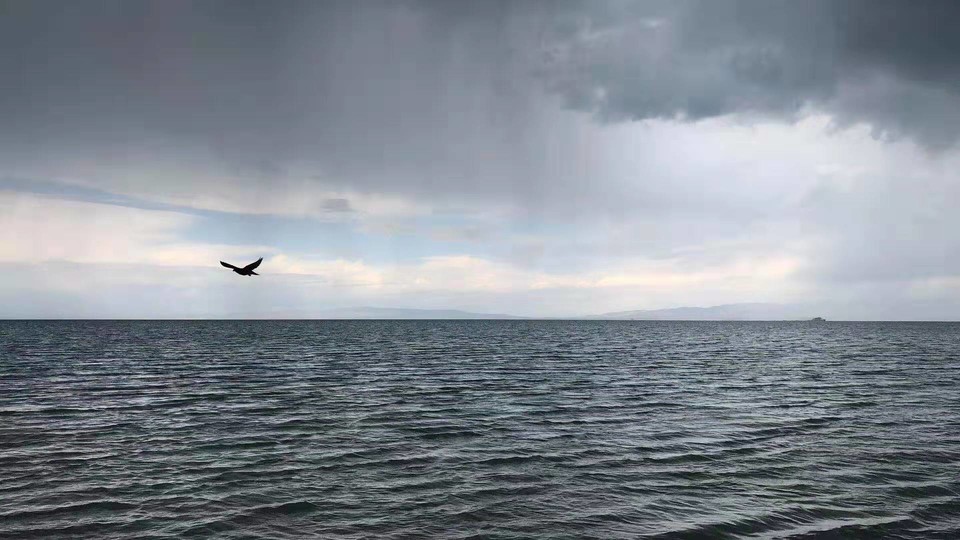 微信图片_201908121106362