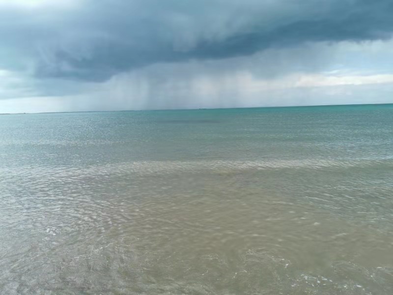 微信图片_201908121108046