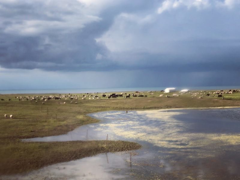 微信图片_201908121109493