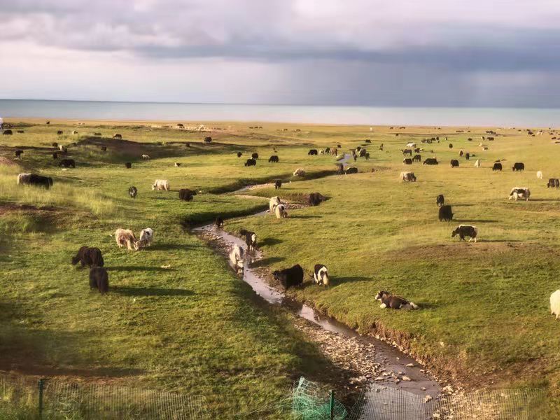 微信图片_201908121109494