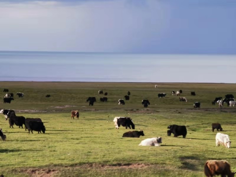 微信图片_201908121109495