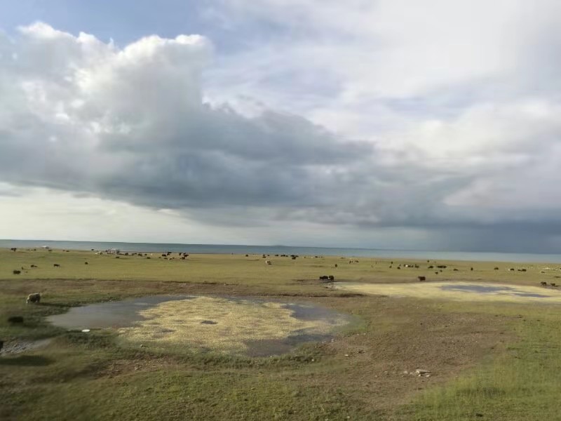 微信图片_201908121116255