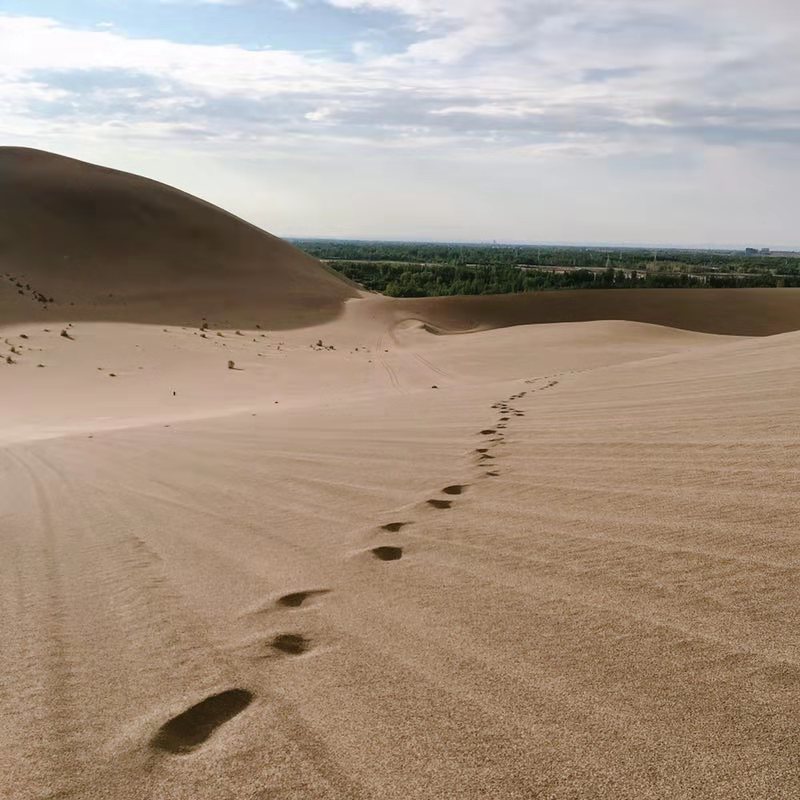 微信图片_201908121118285