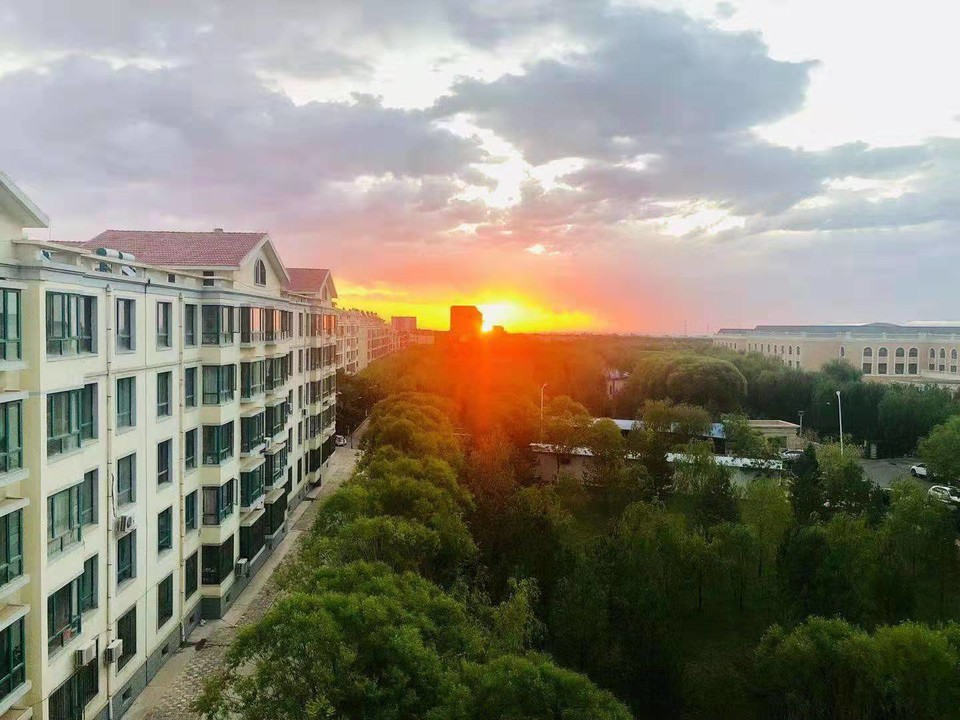 微信图片_201908121118287