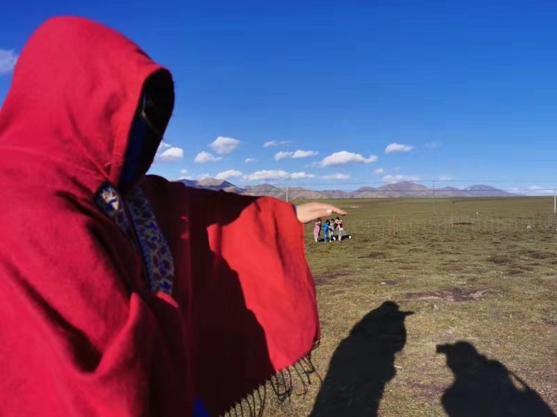 微信图片_201908121206414