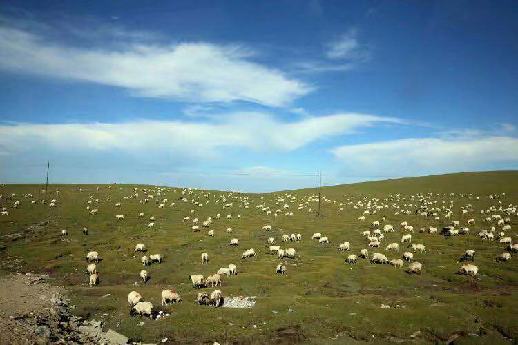 微信图片_201908121209212