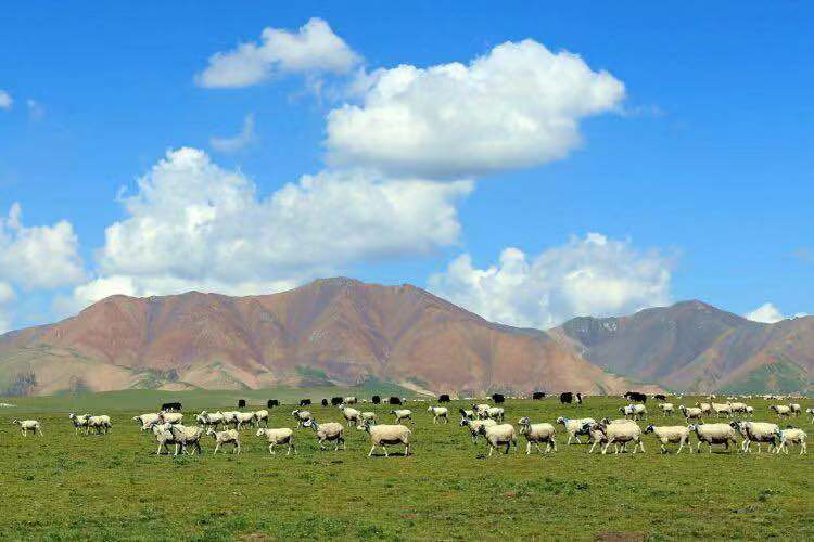 微信图片_201908121209213