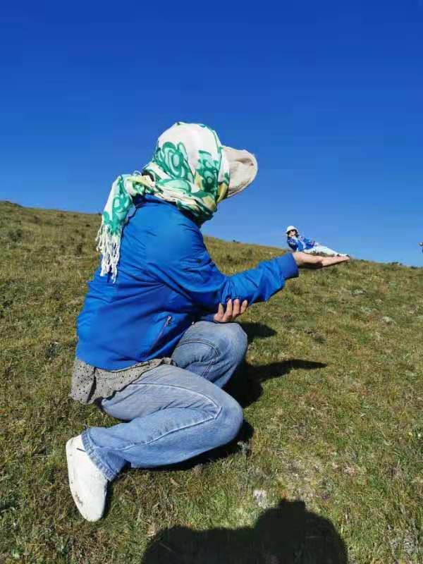 微信图片_201908121210033