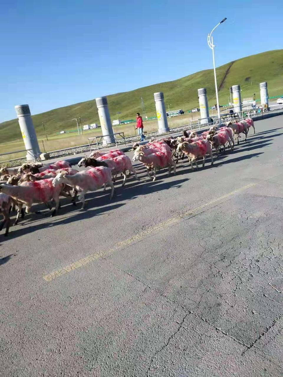 微信图片_201908121210541