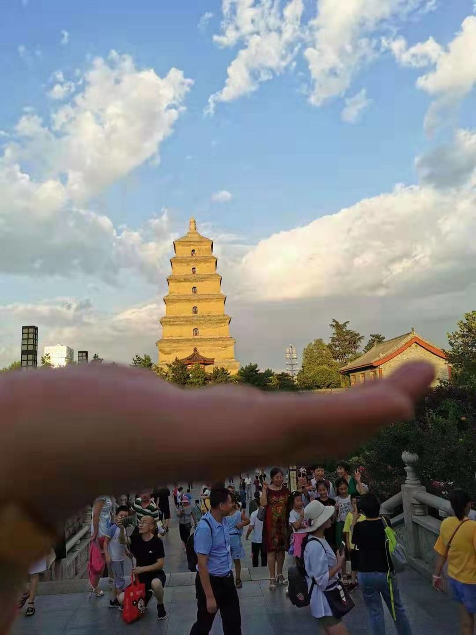 微信图片_201908121211507