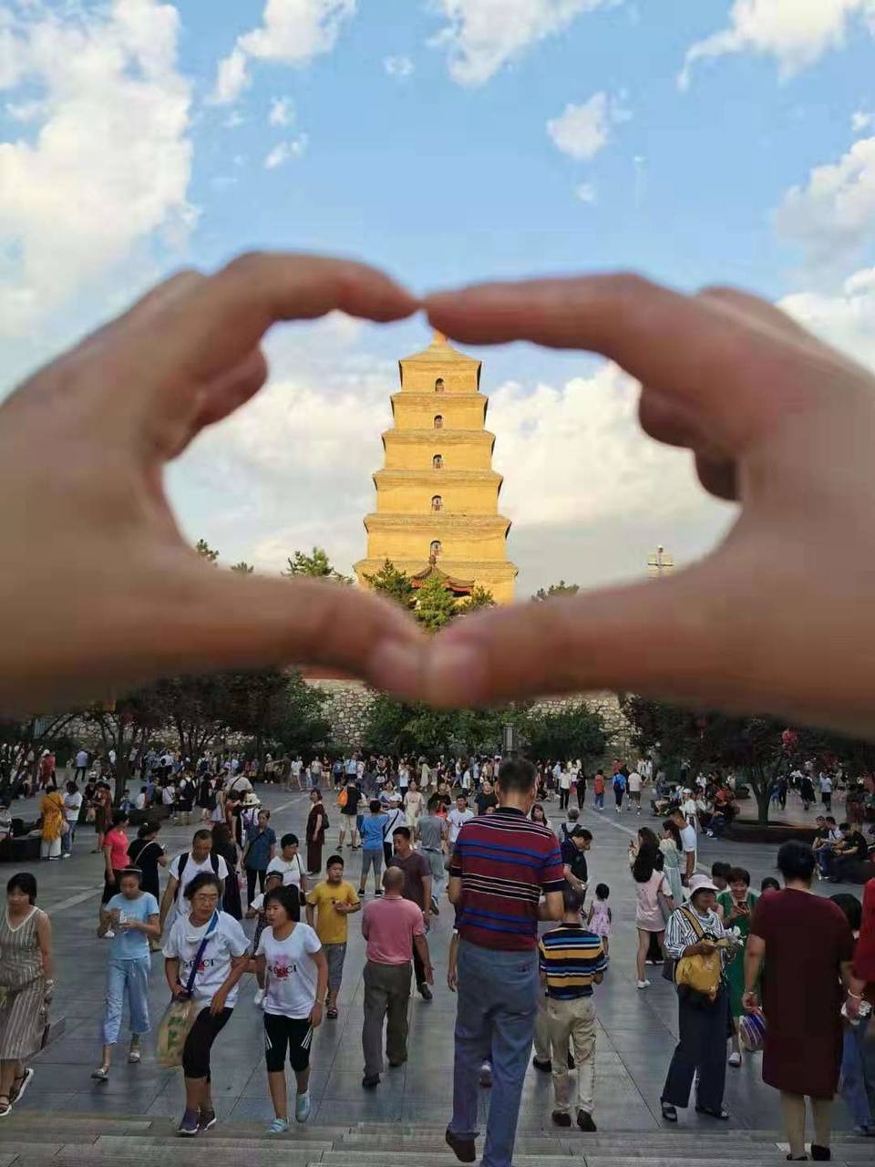 微信图片_201908121213381