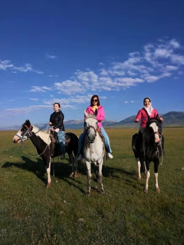 微信图片_201908121554334