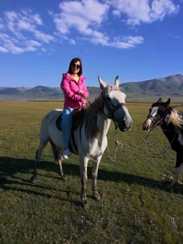 微信图片_201908121554335