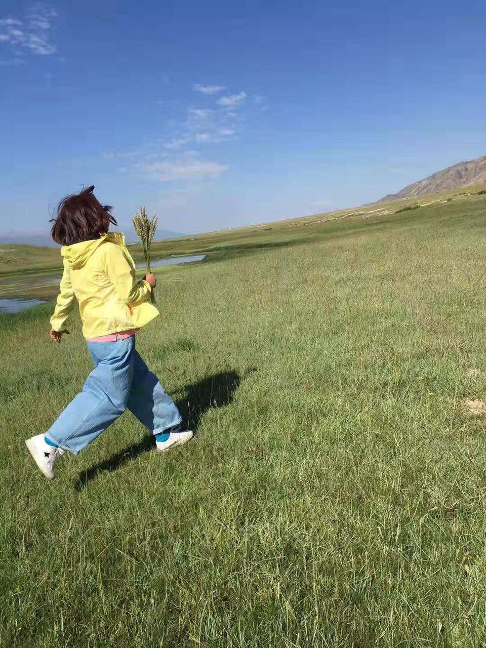 微信图片_201908121554336