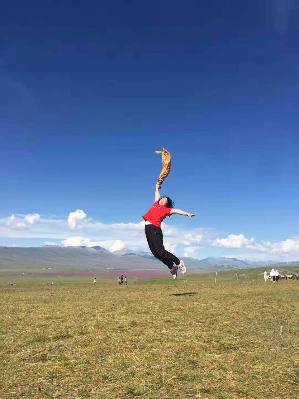 微信图片_201908121556321