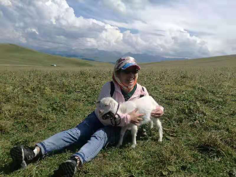 微信图片_201908121557223