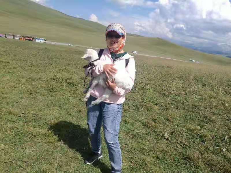 微信图片_201908121557224