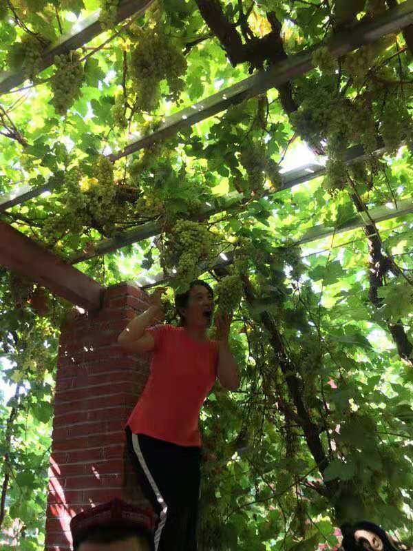 微信图片_201908121559002