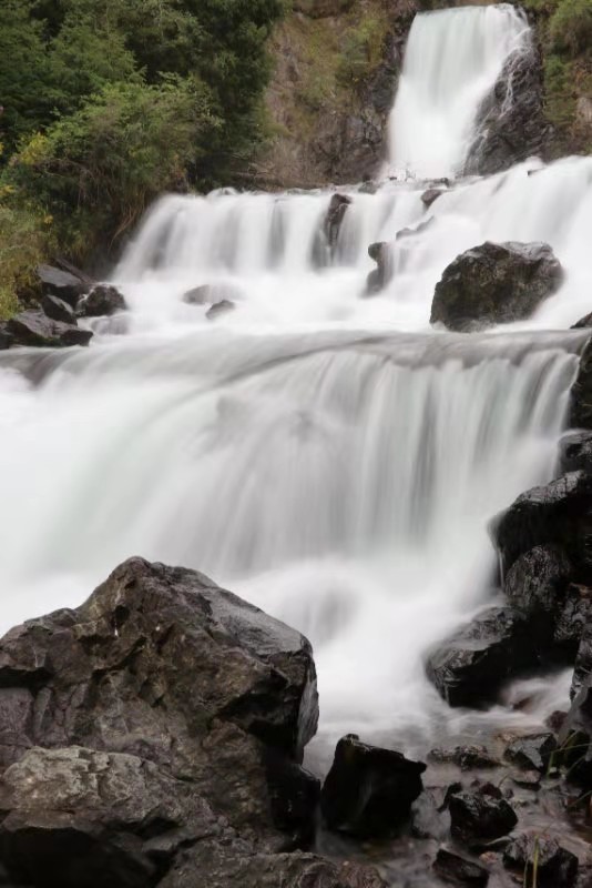 微信图片_201908121559426